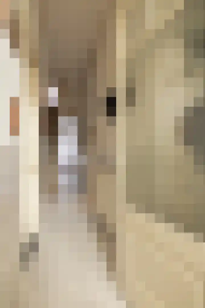 Vloeddijk 63 Kampen thumbnail 8