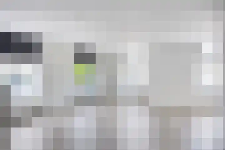 Vloeddijk 7 A Kampen thumbnail 17
