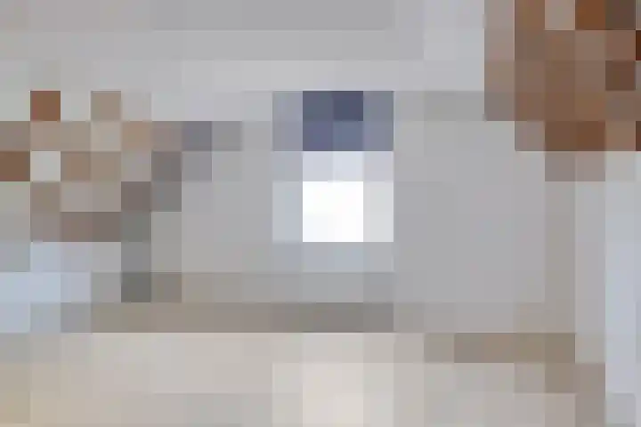 Vloeddijk 7 A Kampen thumbnail 20