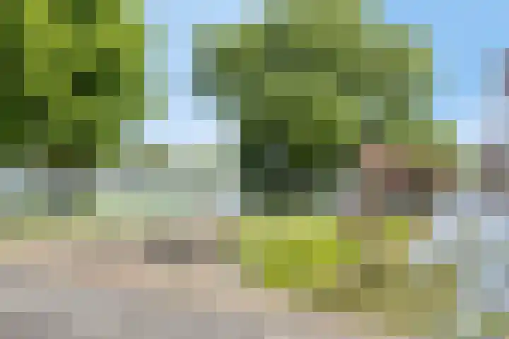 Vloeddijk 7 A Kampen thumbnail 27