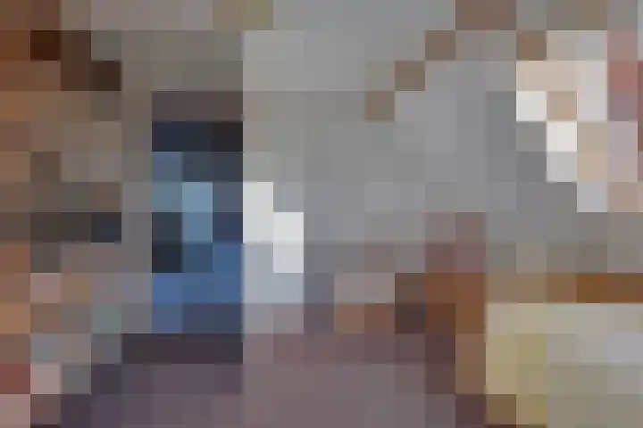 Vloeddijk 91 Kampen thumbnail 50