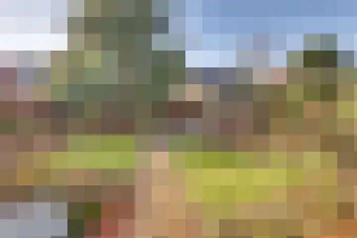 Vloeddijk 91 Kampen thumbnail 58