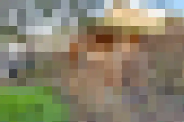 Vloeddijk 91 Kampen thumbnail 61