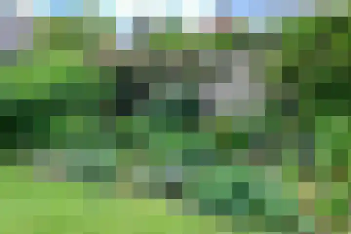 Vloeddijk 91 Kampen thumbnail 65