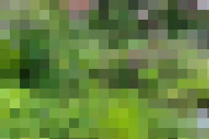 Vloeddijk 91 Kampen thumbnail 66