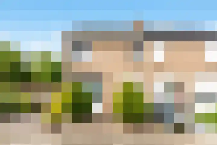 Vloedgraaf 1 Munstergeleen