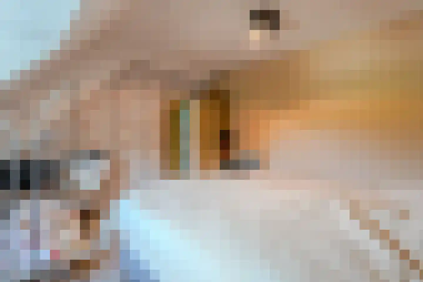 Vloedgraafpad 2 Sittard thumbnail 14