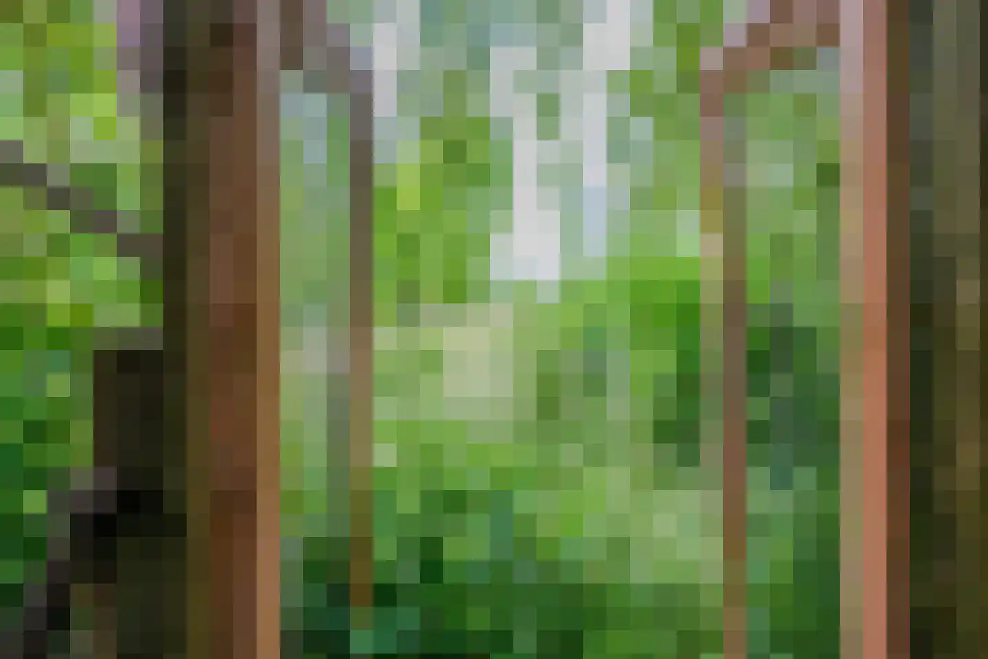 Vloedgraafpad 2 Sittard thumbnail 25