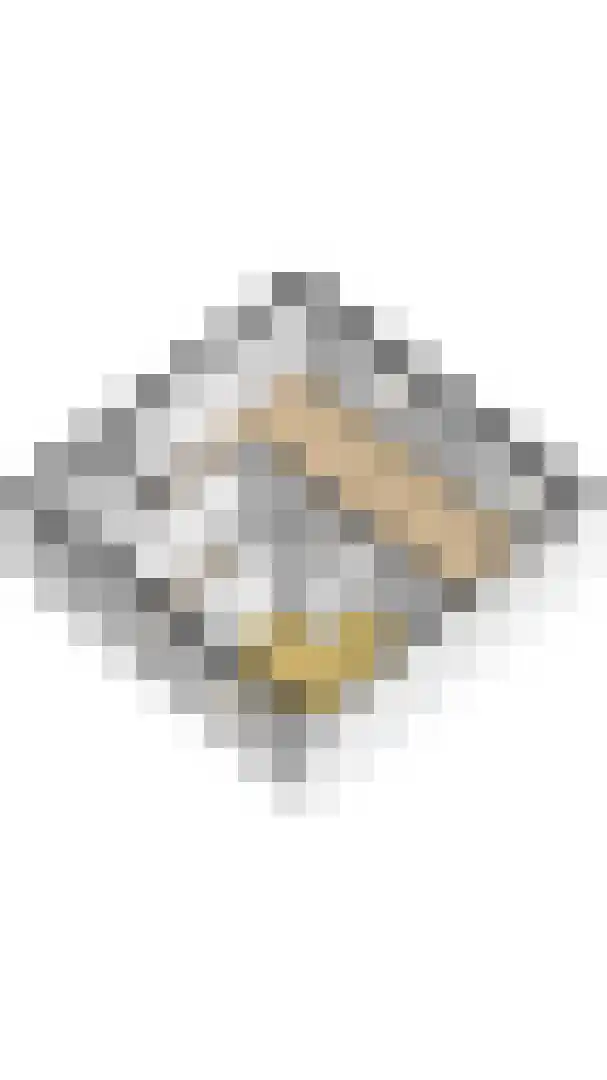 Vloedgraafpad 2 Sittard thumbnail 32