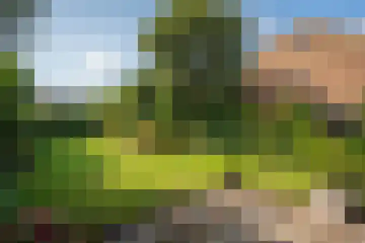 Vloedlijn 23 Den Burg thumbnail 15