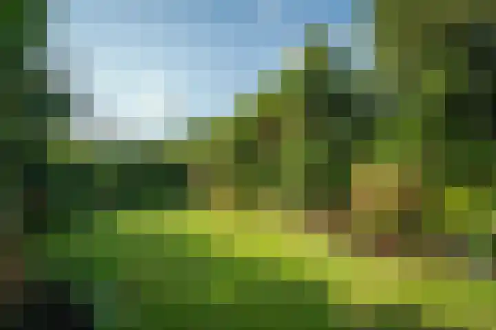 Vloedlijn 23 Den Burg thumbnail 16
