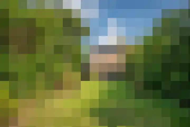 Vloedlijn 23 Den Burg thumbnail 17