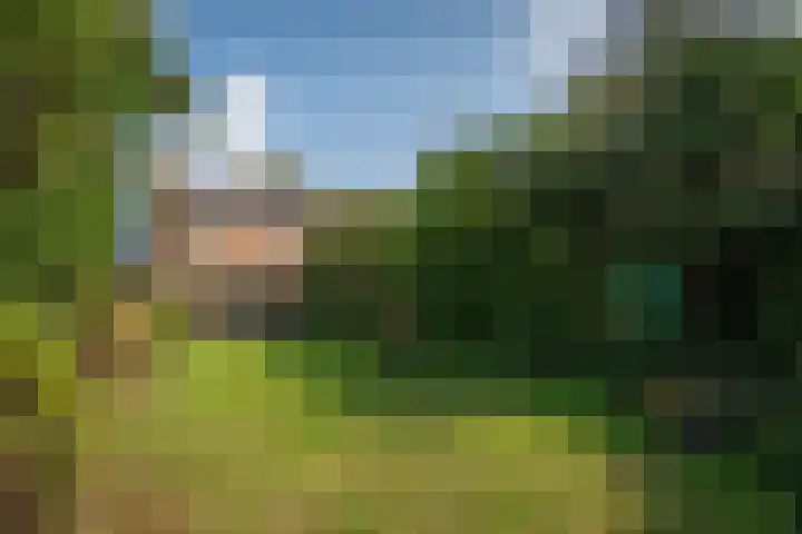Vloedlijn 23 Den Burg thumbnail 18