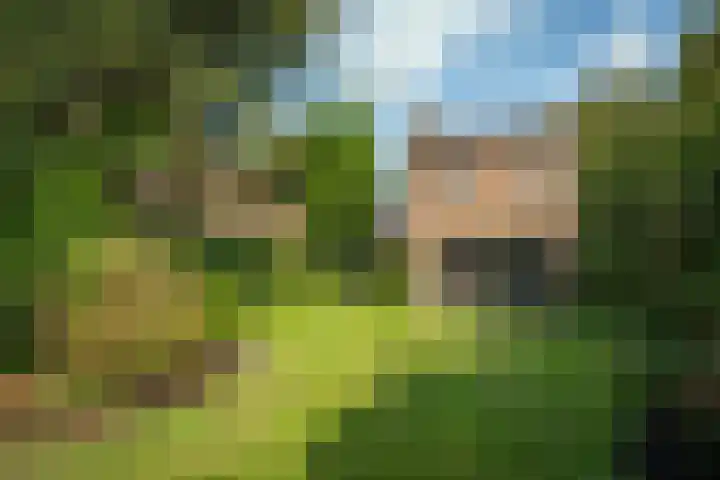Vloedlijn 23 Den Burg thumbnail 19