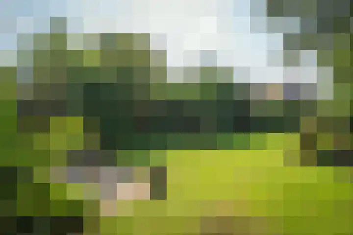 Vloedlijn 23 Den Burg thumbnail 20