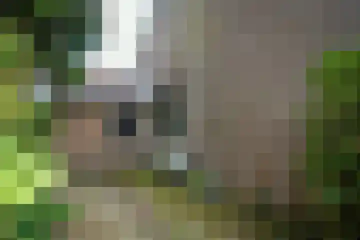 Vloedlijn 23 Den Burg thumbnail 21
