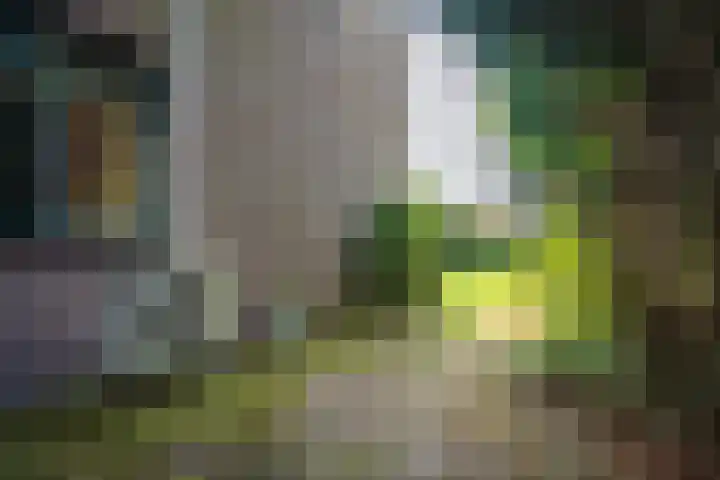 Vloedlijn 23 Den Burg thumbnail 22