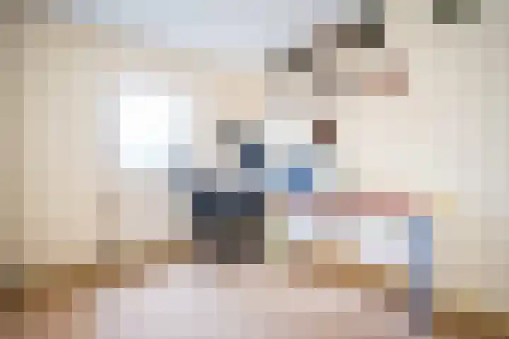 Vloedlijn 23 Den Burg thumbnail 24