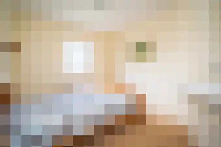 Vloedlijn 23 Den Burg thumbnail 27