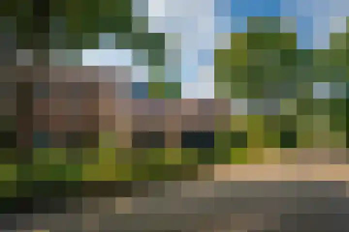 Vloedlijn 23 Den Burg foto 3
