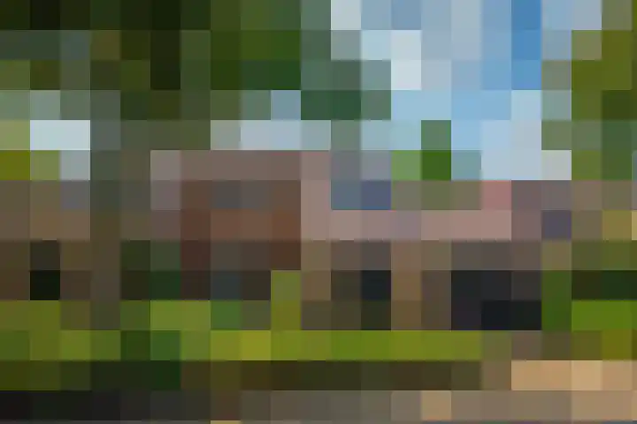 Vloedlijn 23 Den Burg thumbnail 45