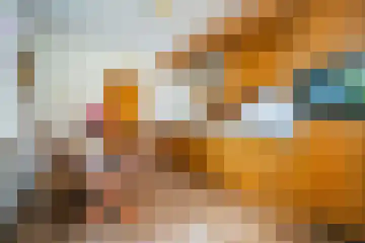 Vloedlijn 23 Den Burg thumbnail 9