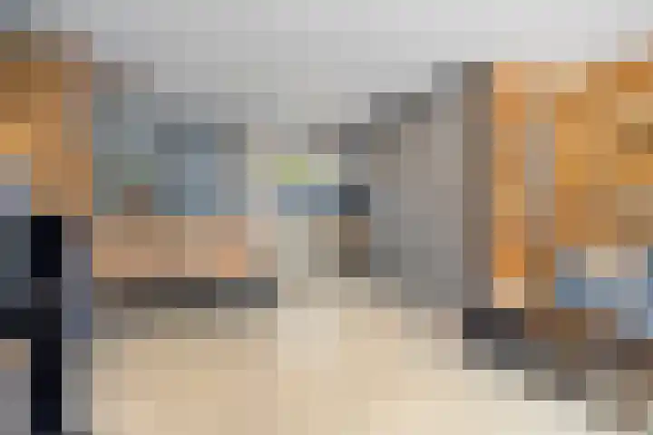 Vloedlijn 25 Brielle thumbnail 10
