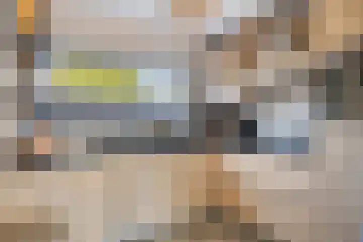 Vloedlijn 25 Brielle thumbnail 13
