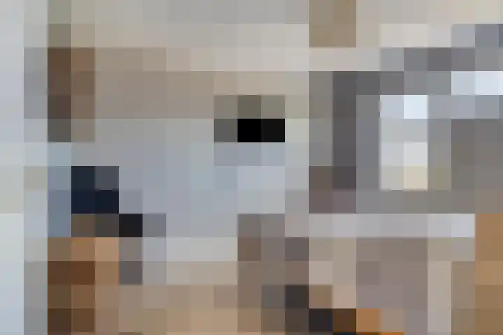 Vloedlijn 25 Brielle thumbnail 15