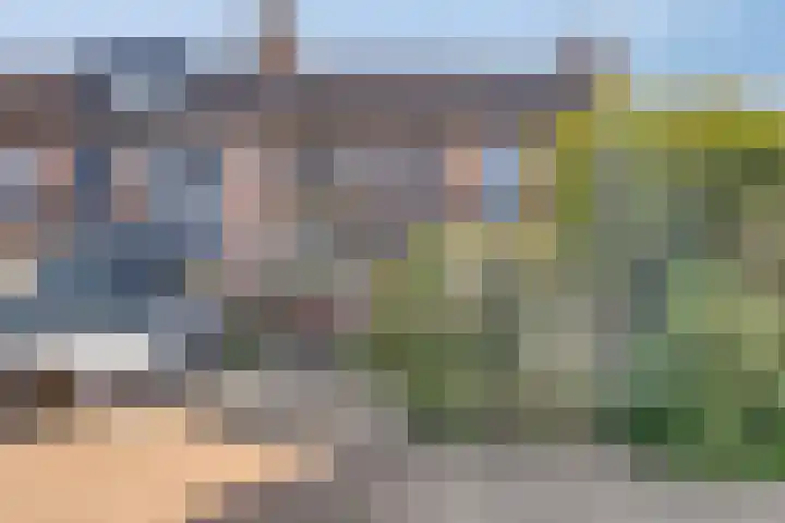 Vloedlijn 25 Brielle thumbnail 5