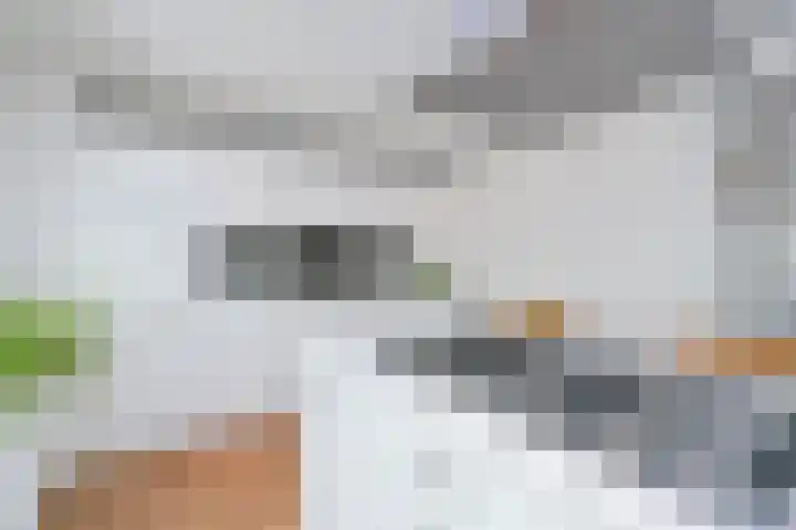 Vloedlijn 36 Callantsoog thumbnail 15