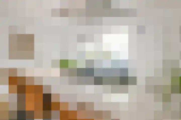 Vloedlijn 36 Callantsoog thumbnail 18