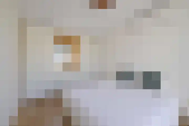 Vloedlijn 36 Callantsoog thumbnail 23