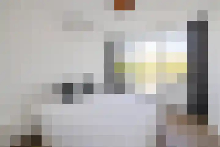 Vloedlijn 36 Callantsoog thumbnail 24
