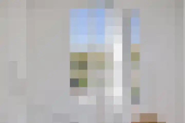 Vloedlijn 36 Callantsoog thumbnail 32