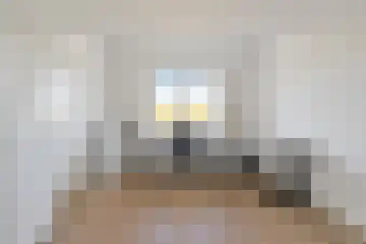 Vloedlijn 36 Callantsoog thumbnail 33
