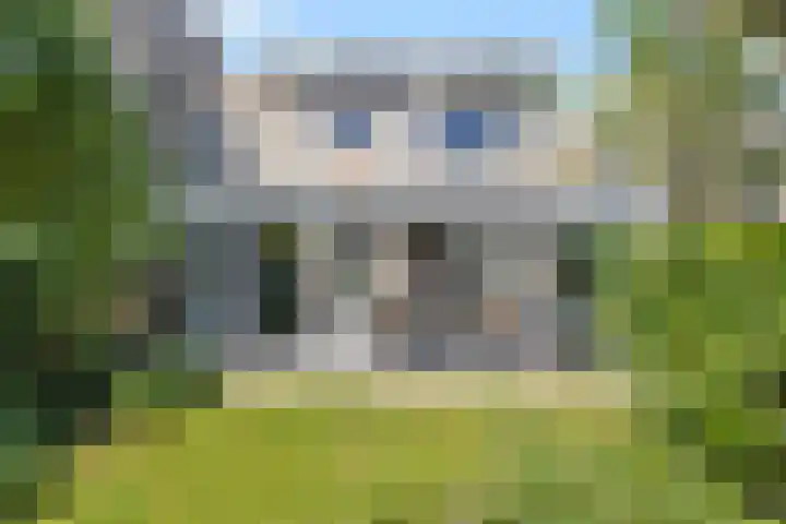 Vloedlijn 36 Callantsoog thumbnail 34