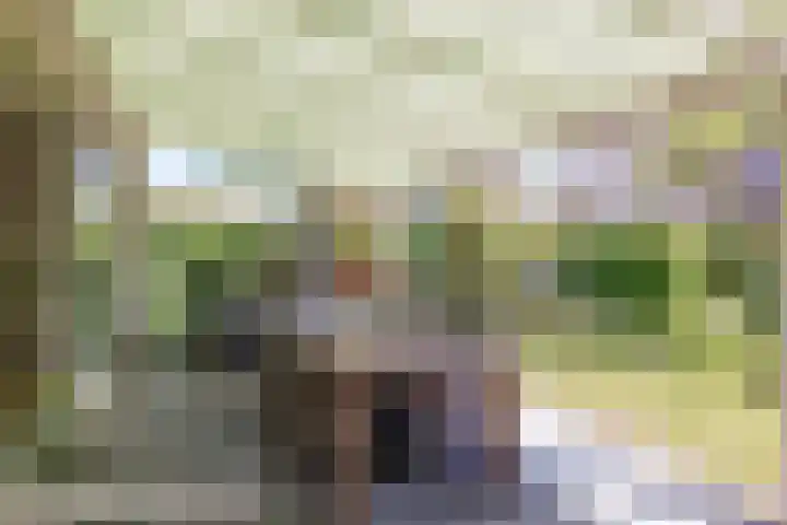 Vloedlijn 36 Callantsoog thumbnail 36