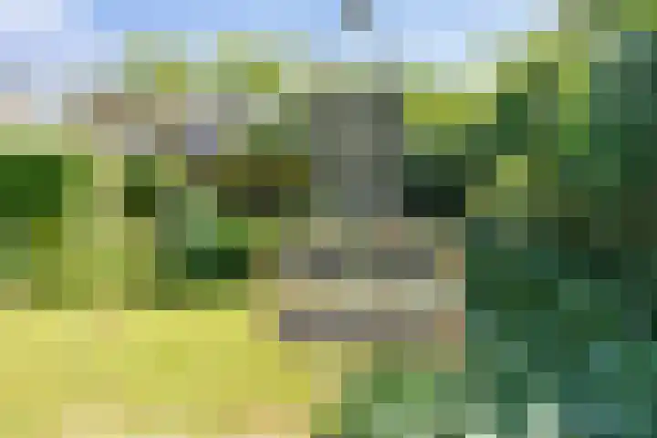 Vloedlijn 36 Callantsoog thumbnail 37