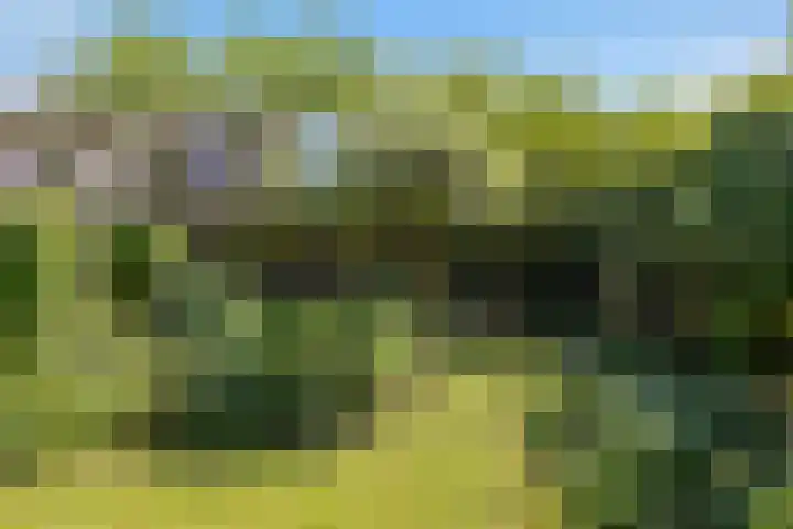 Vloedlijn 36 Callantsoog thumbnail 39