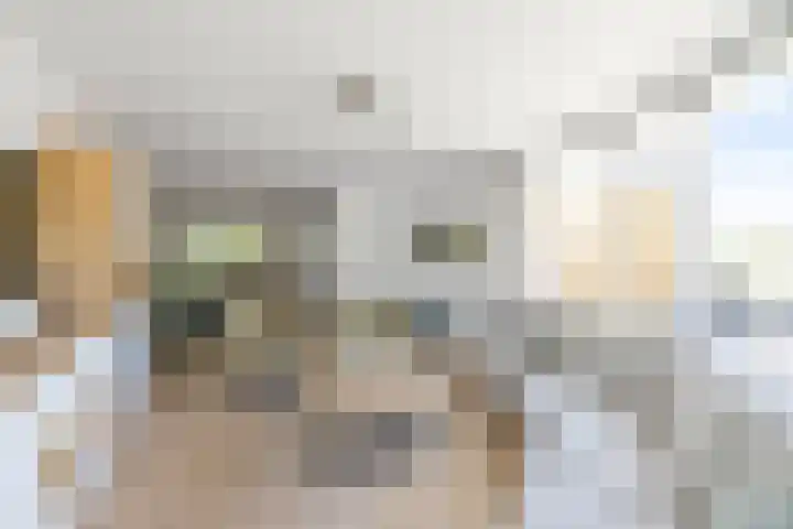 Vloedlijn 36 Callantsoog thumbnail 4