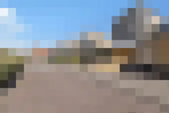 Vloedlijn 36 Callantsoog thumbnail 41