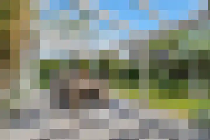 Vloedlijn 36 Callantsoog thumbnail 5