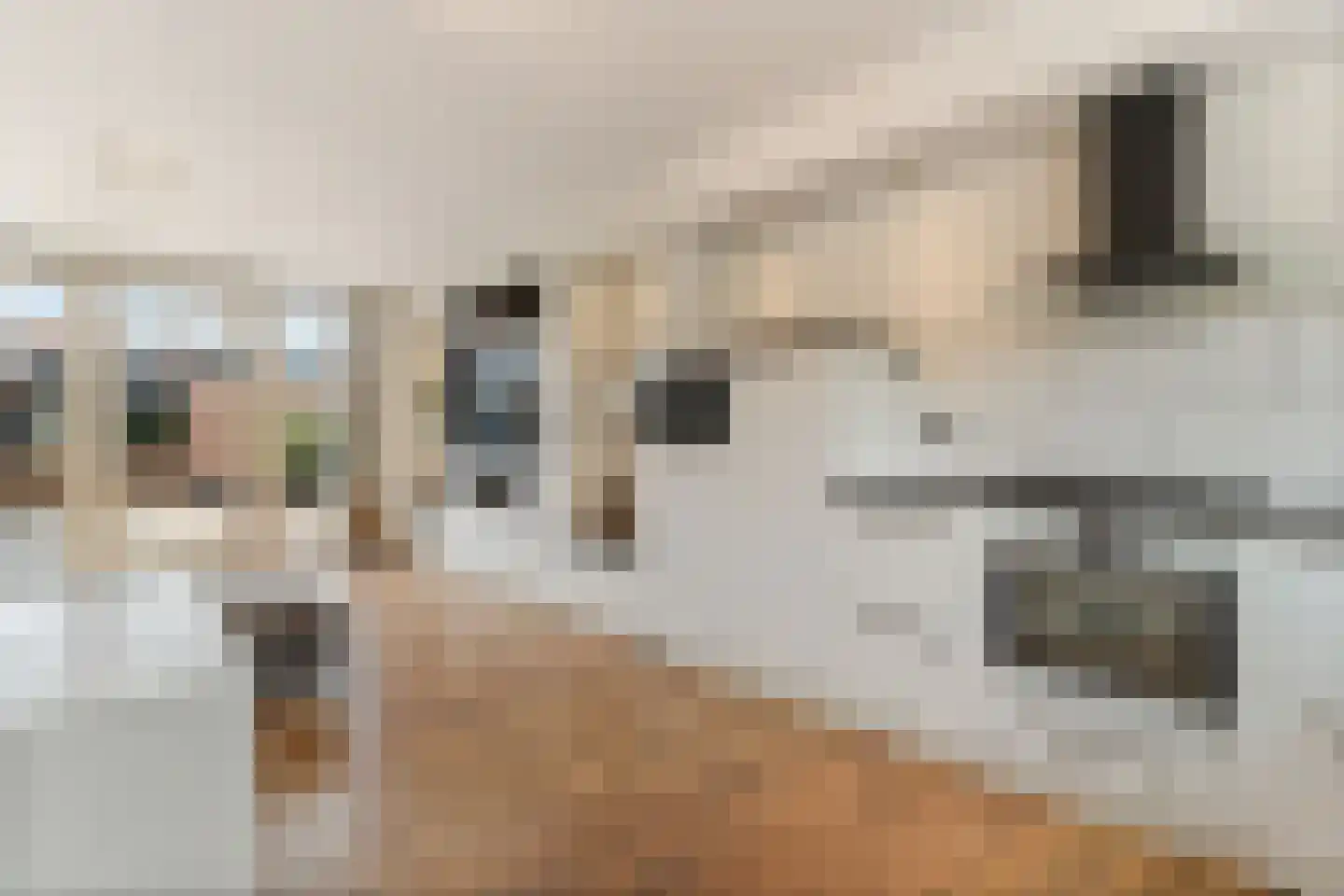 Vloedlijn 39 Hellevoetsluis thumbnail 13