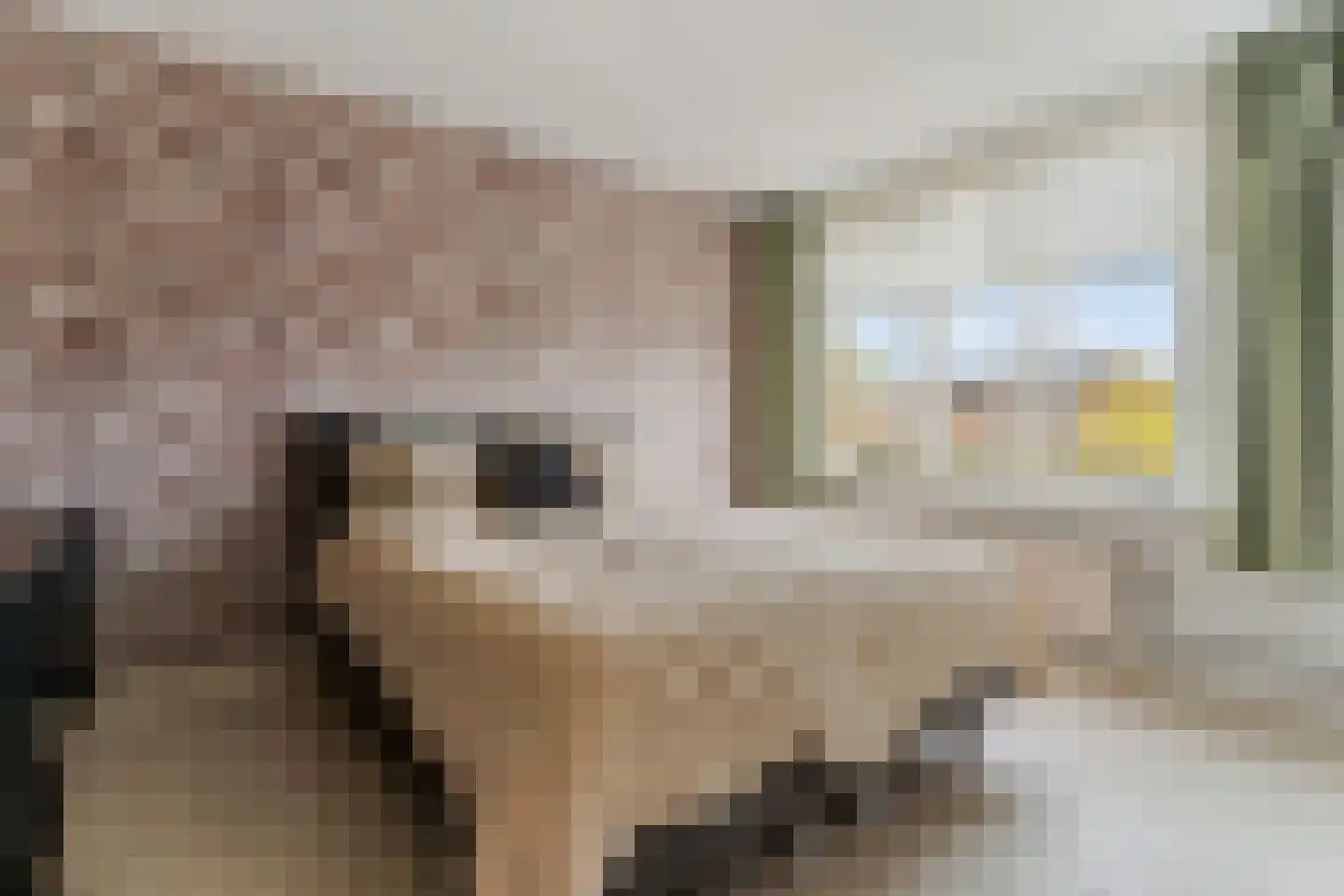 Vloedlijn 39 Hellevoetsluis thumbnail 24