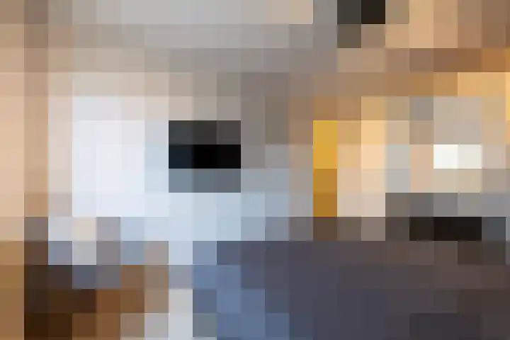 Vloedlijn 50 Hellevoetsluis thumbnail 36