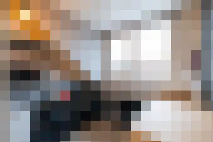 Vloedlijn 50 Hellevoetsluis thumbnail 38