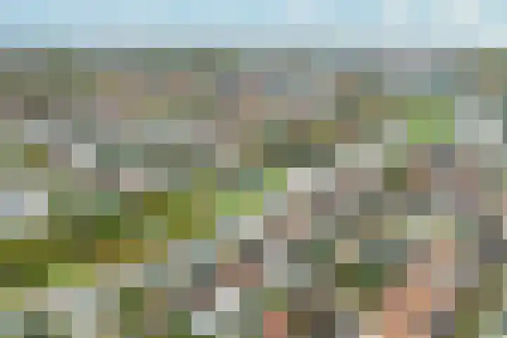 Vloedlijn 50 Hellevoetsluis thumbnail 47