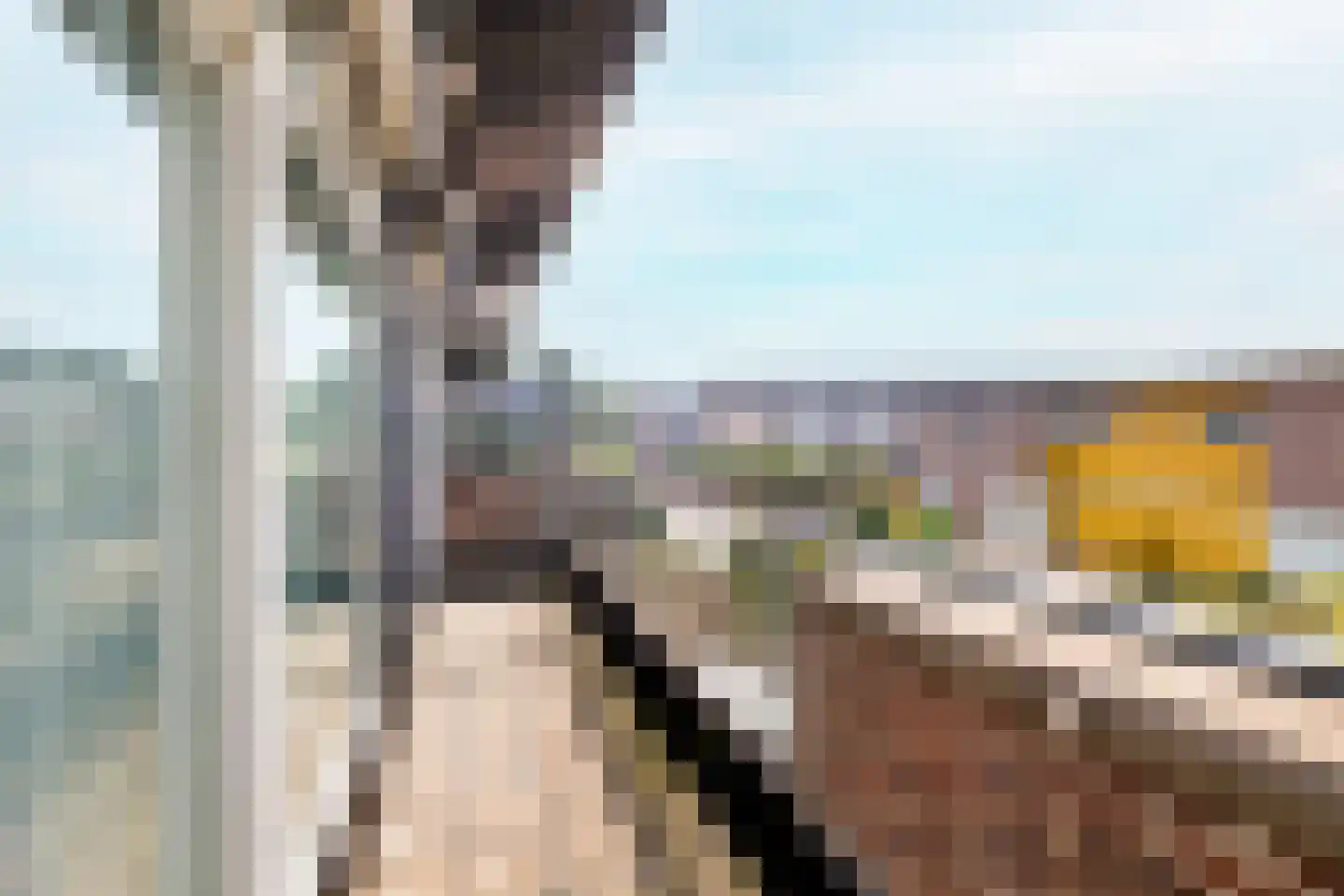 Vloedlijn 6 Vlissingen thumbnail 29