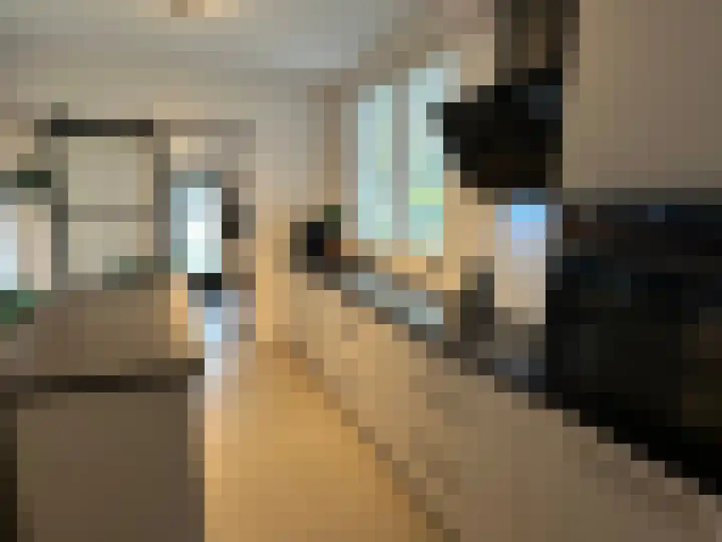 Vloedlijn 7 Den Burg thumbnail 15